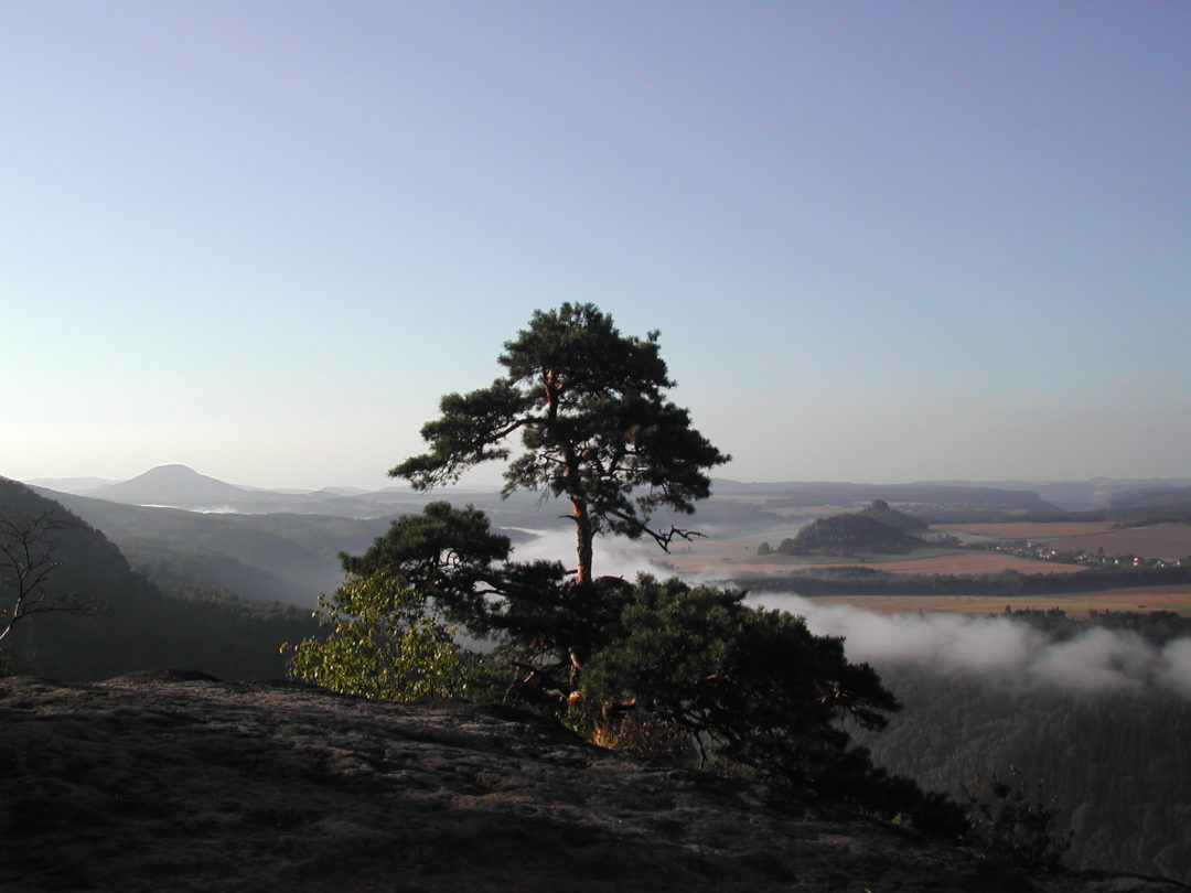 Aussicht in der Kur - Gegend des Elbsandsteingebirge