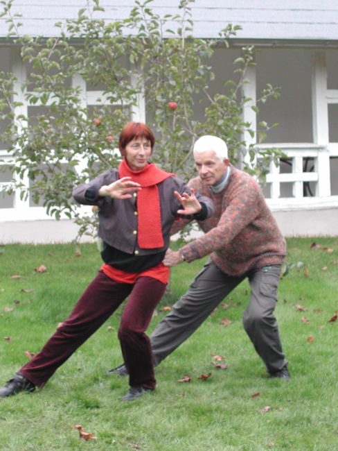 Hüftbewegung im Tai Chi Tai Chi im Park