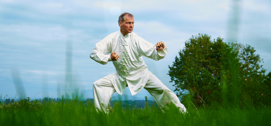 Tiger Jagen links Wu Shu - chinesische Kampfkunst