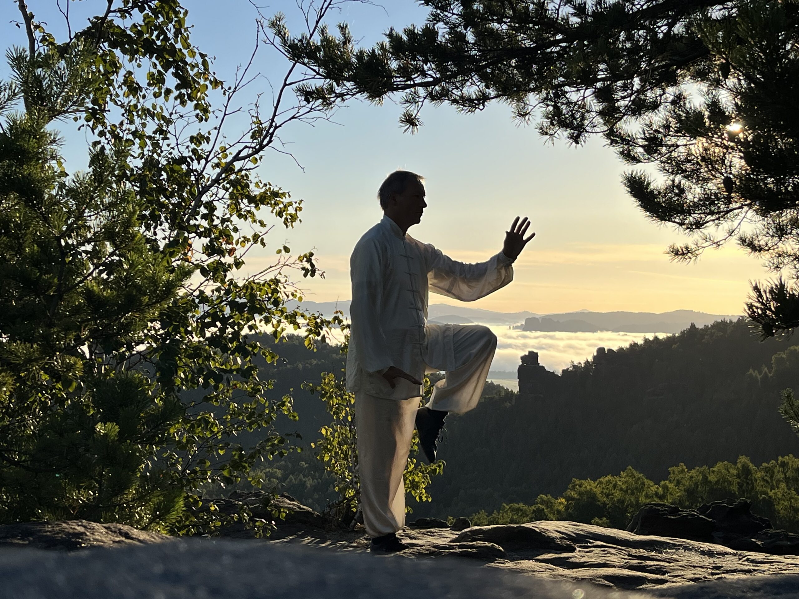 Tai Chi in der Natur